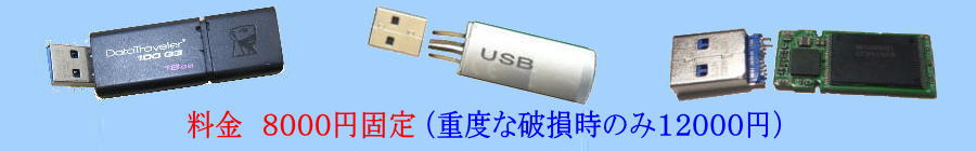 USBメモリのサンプル画像